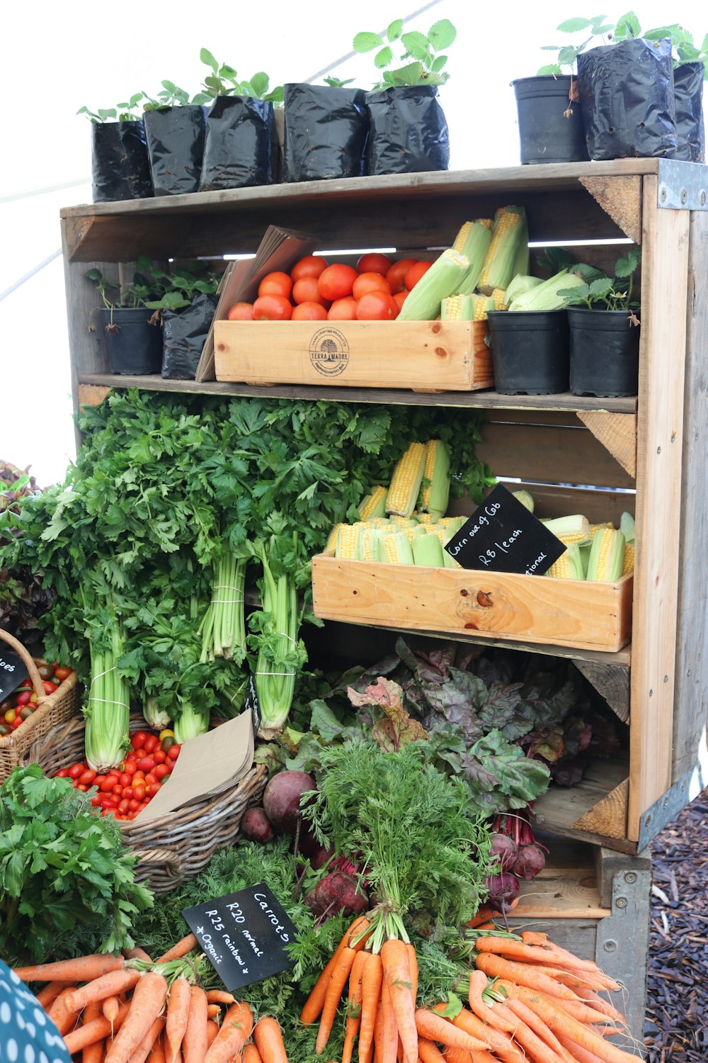 Un étal de légumes au marché