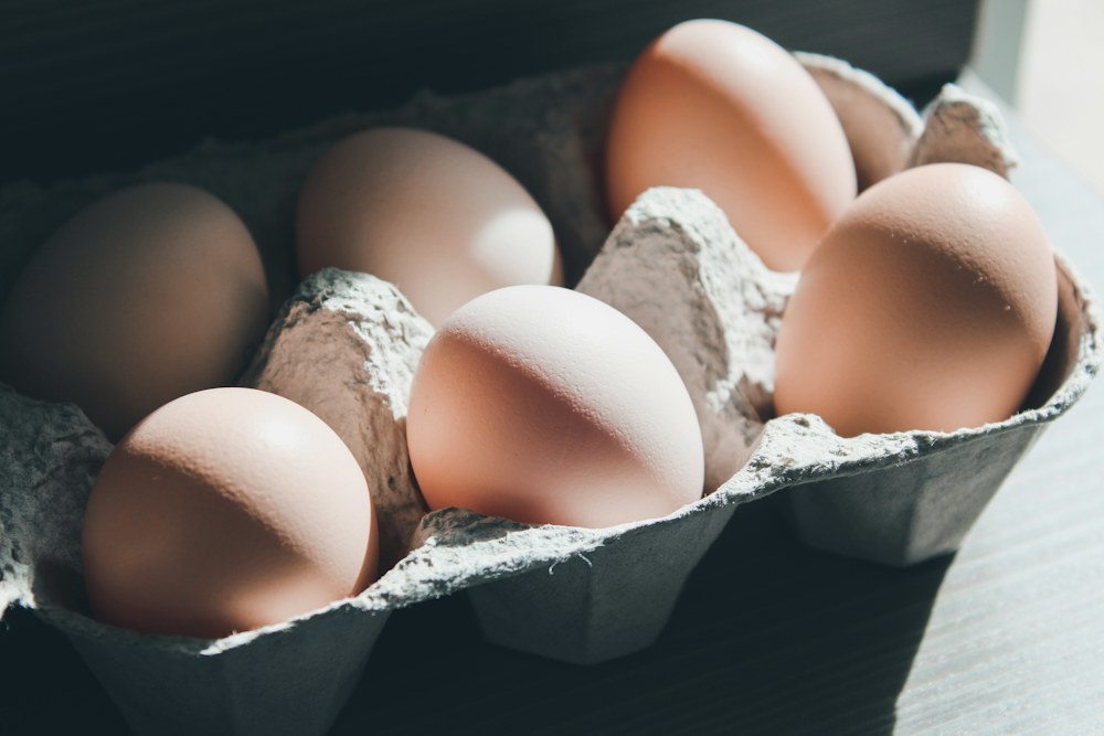 Six œufs dans une boîte en carton